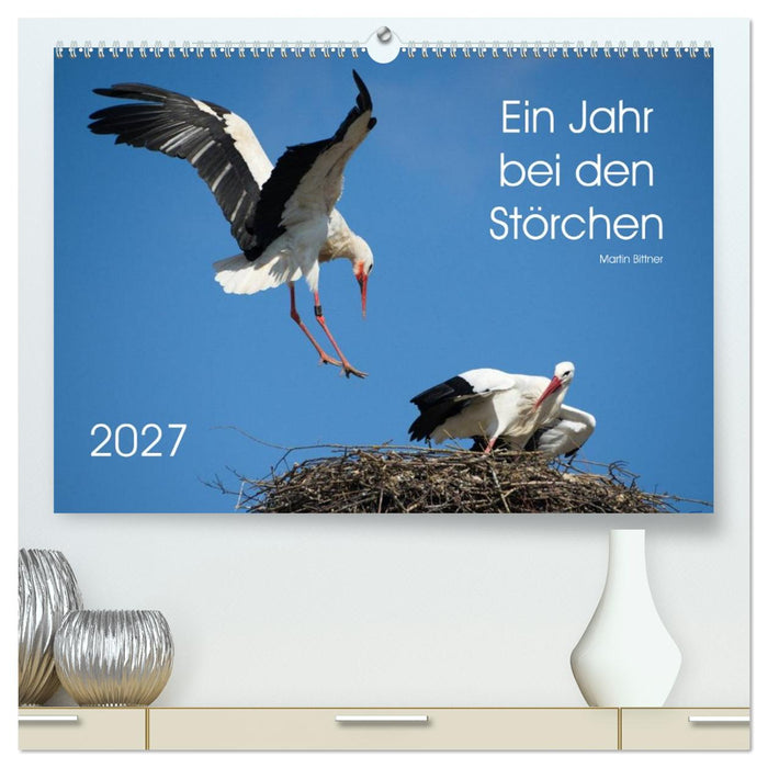 Ein Jahr bei den Störchen (CALVENDO Premium Wandkalender 2027)