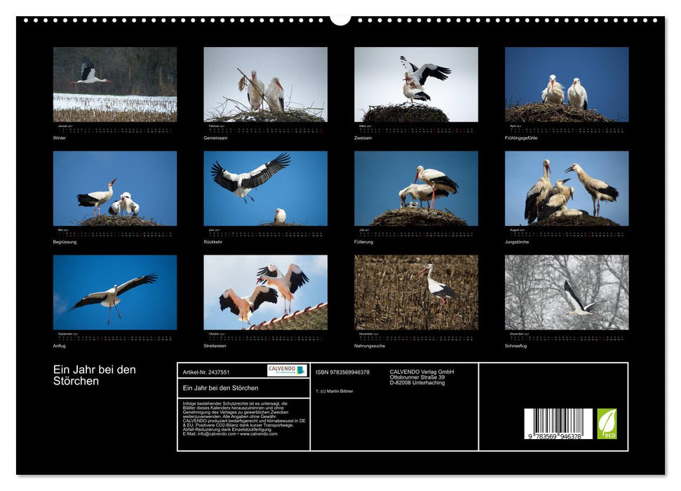 Ein Jahr bei den Störchen (CALVENDO Premium Wandkalender 2027)