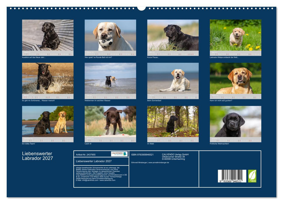 Liebenswerter Labrador 2027 (CALVENDO Premium Wandkalender 2027)