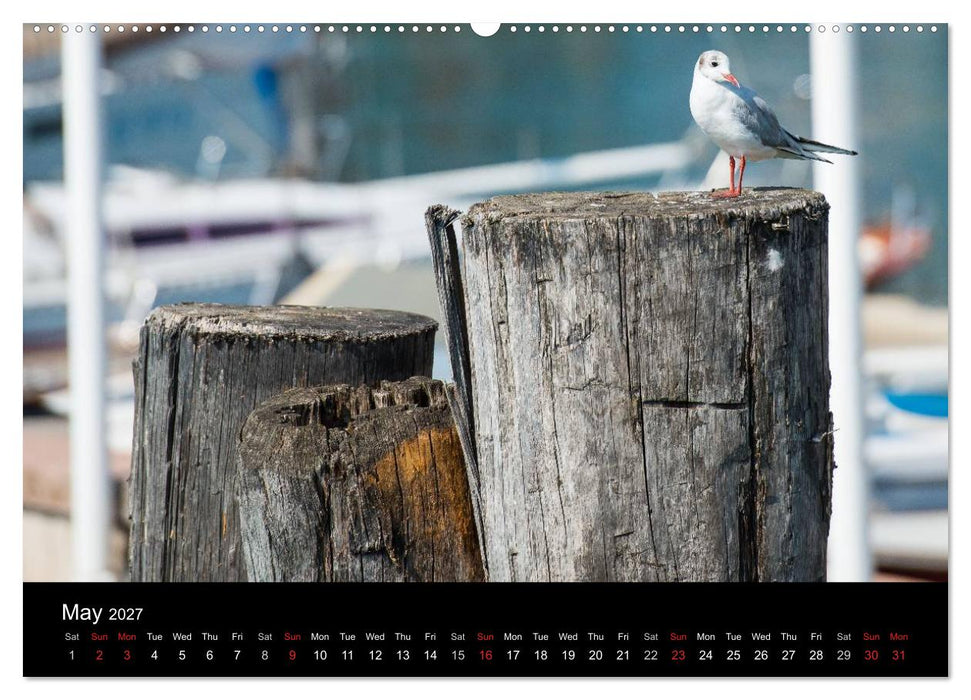 Lake Garda Italy (CALVENDO Premium-Calendar 2027)