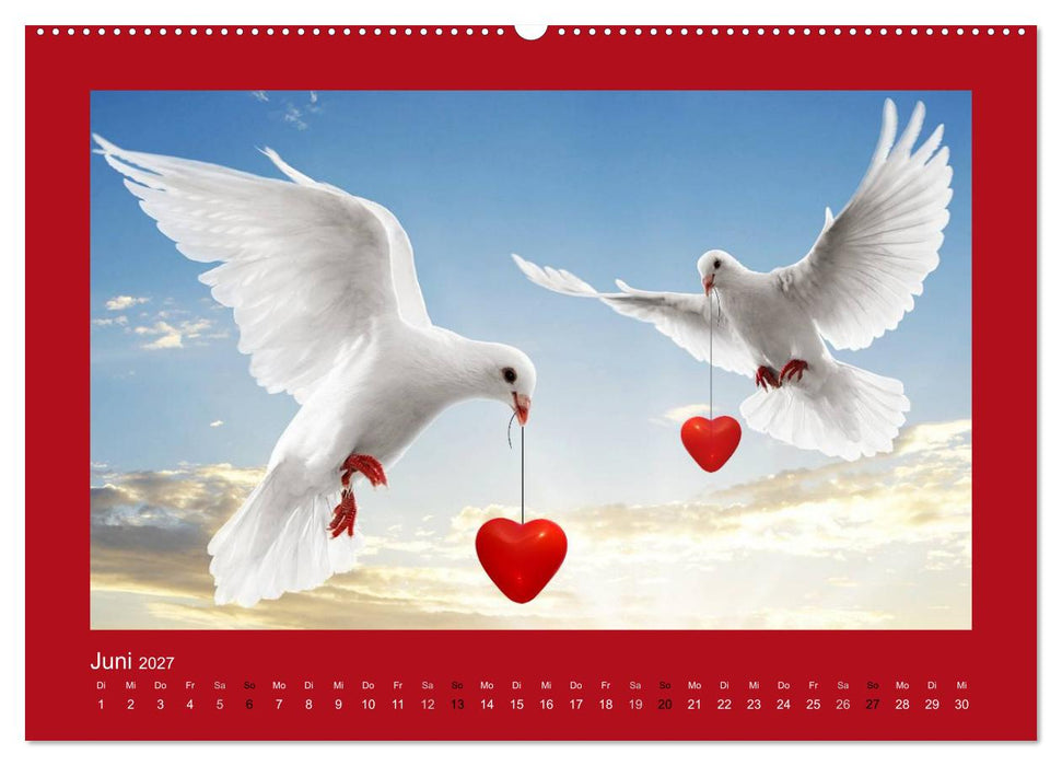 Botschaften mit Herz! (CALVENDO Premium Wandkalender 2027)
