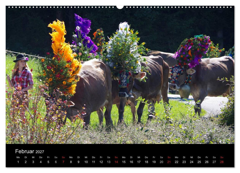 Almabtrieb in Tirol (CALVENDO Wandkalender 2027)