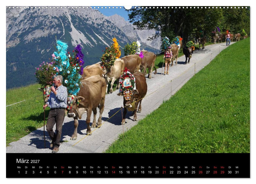 Almabtrieb in Tirol (CALVENDO Wandkalender 2027)