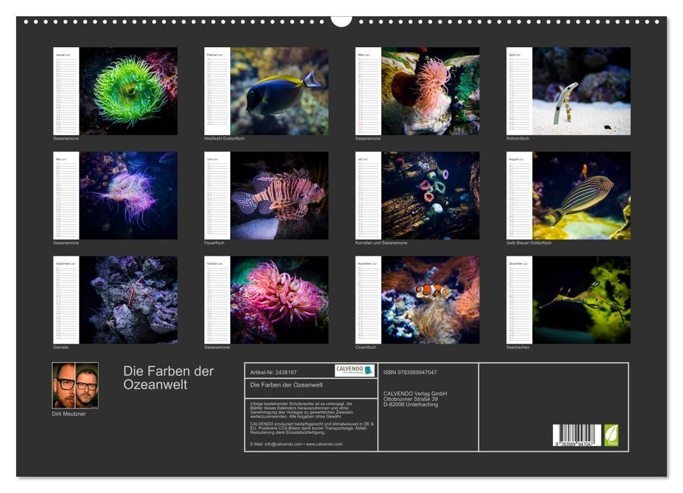 Die Farben der Ozeanwelt (CALVENDO Wandkalender 2027)