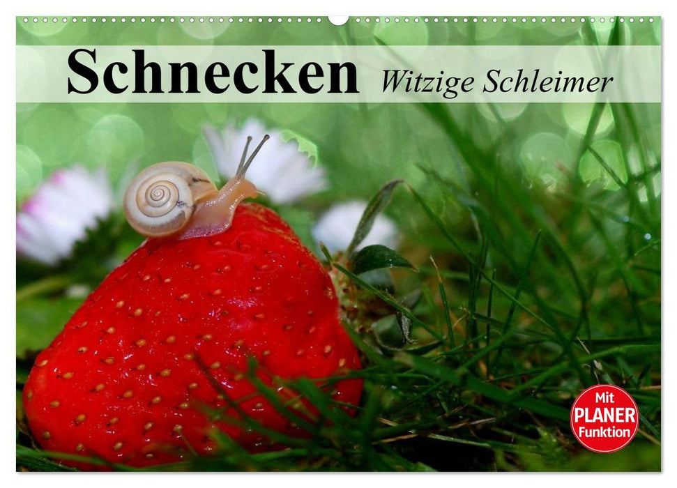 Schnecken. Witzige Schleimer (CALVENDO Wandkalender 2027)