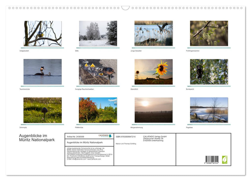 Augenblicke im Müritz Nationalpark (CALVENDO Wandkalender 2027)