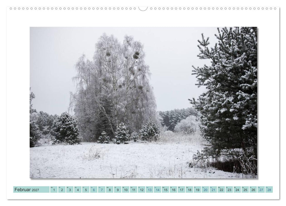Augenblicke im Müritz Nationalpark (CALVENDO Wandkalender 2027)
