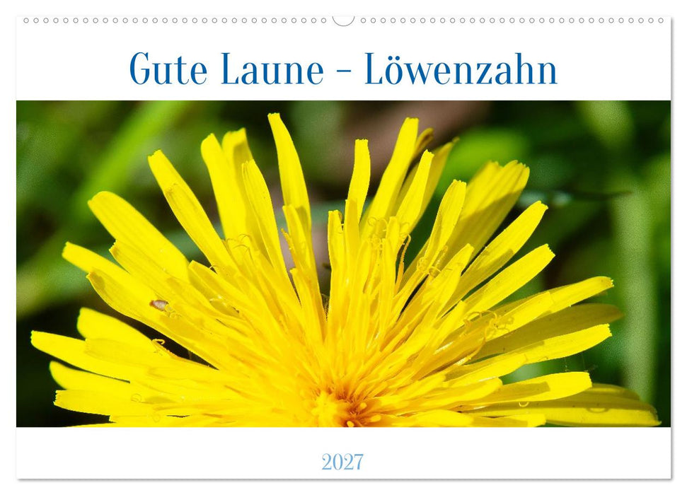 Gute Laune - Löwenzahn (CALVENDO Wandkalender 2027)