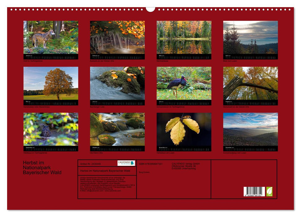 Herbst im Nationalpark Bayerischer Wald (CALVENDO Wandkalender 2027)