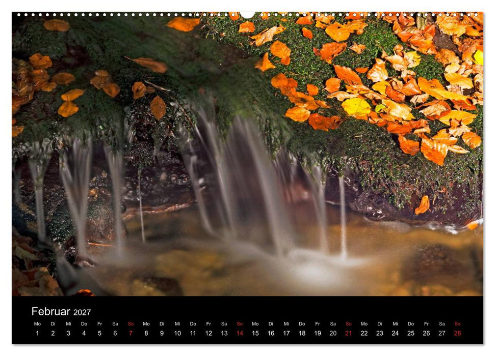 Herbst im Nationalpark Bayerischer Wald (CALVENDO Wandkalender 2027)