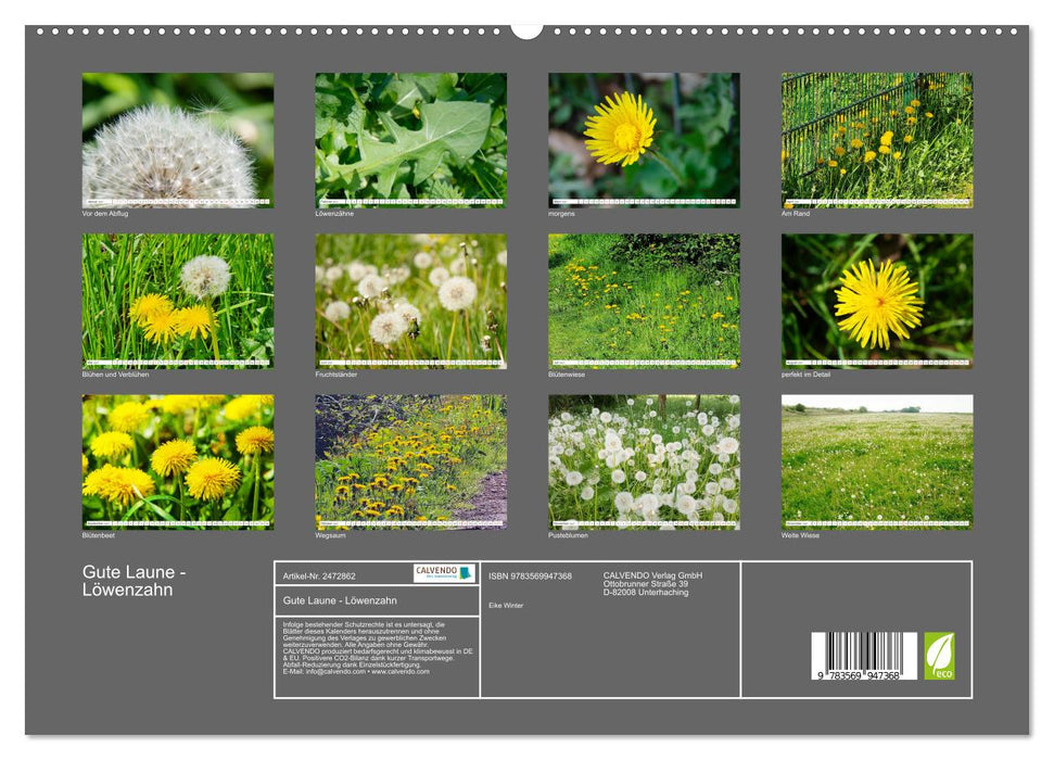 Gute Laune - Löwenzahn (CALVENDO Premium Wandkalender 2027)
