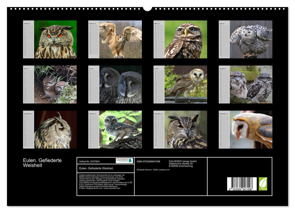Eulen. Gefiederte Weisheit (CALVENDO Premium Wandkalender 2027)