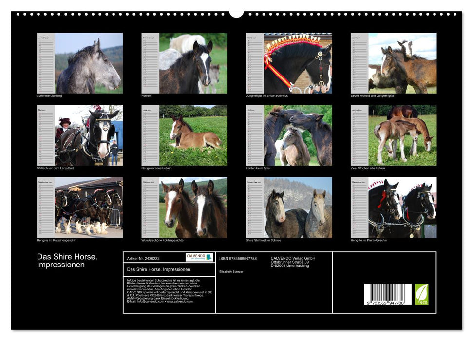 Das Shire Horse. Impressionen (CALVENDO Premium Wandkalender 2027)