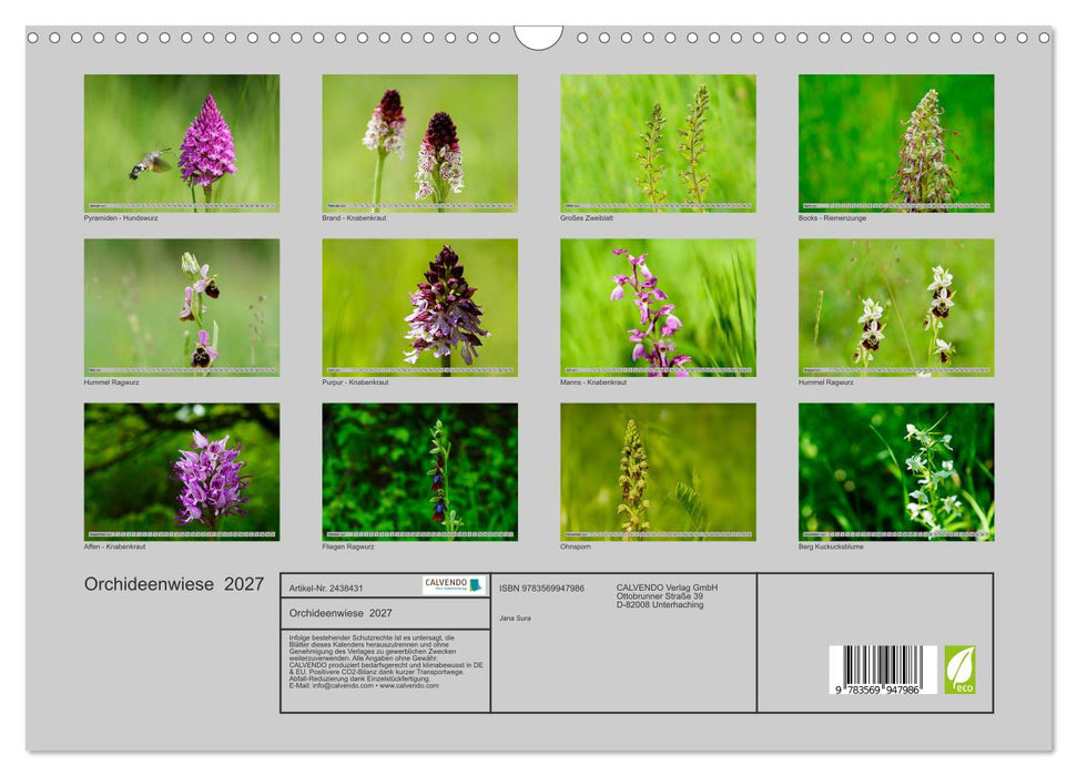 Orchideenwiese 2027 (CALVENDO Wandkalender 2027)