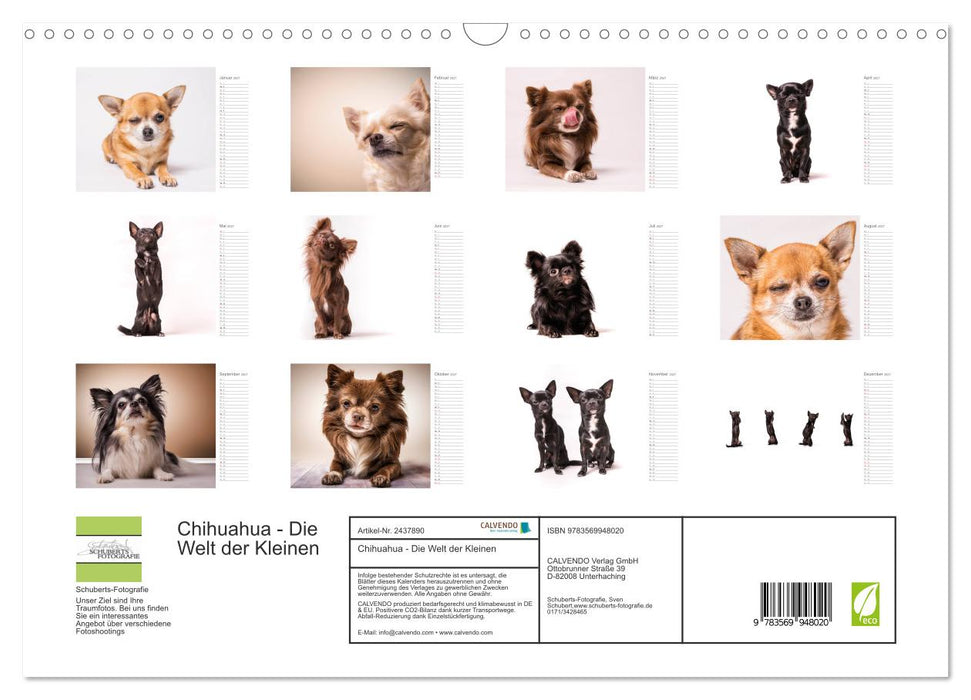 Chihuahua - Die Welt der Kleinen (CALVENDO Wandkalender 2027)