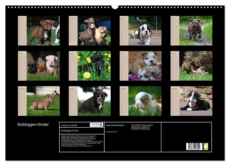 Bulldoggen-Kinder (CALVENDO Wandkalender 2027)