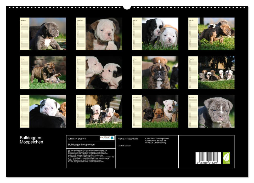 Bulldoggen-Moppelchen (CALVENDO Premium Wandkalender 2027)