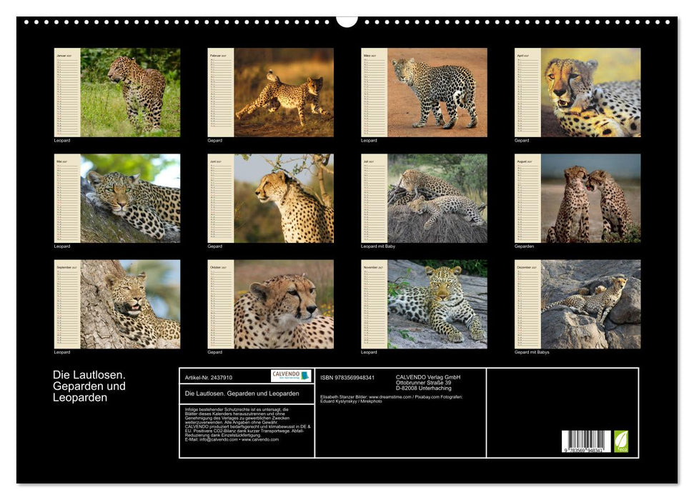 Die Lautlosen. Geparden und Leoparden (CALVENDO Wandkalender 2027)
