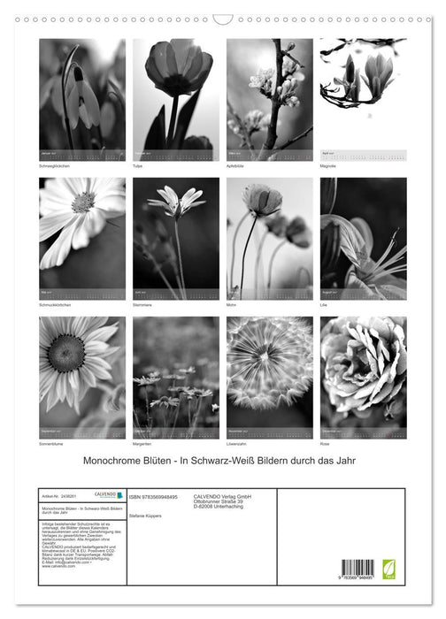 Monochrome Blüten - In Schwarz-Weiß Bildern durch das Jahr (CALVENDO Wandkalender 2027)