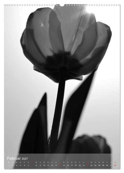 Monochrome Blüten - In Schwarz-Weiß Bildern durch das Jahr (CALVENDO Wandkalender 2027)