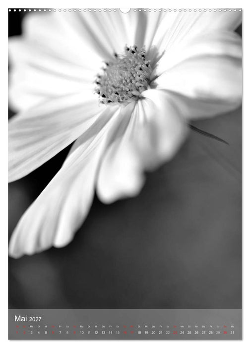 Monochrome Blüten - In Schwarz-Weiß Bildern durch das Jahr (CALVENDO Wandkalender 2027)
