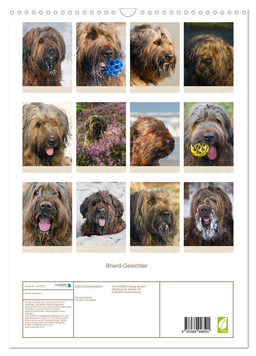 Briard-Gesichter (CALVENDO Wandkalender 2027)