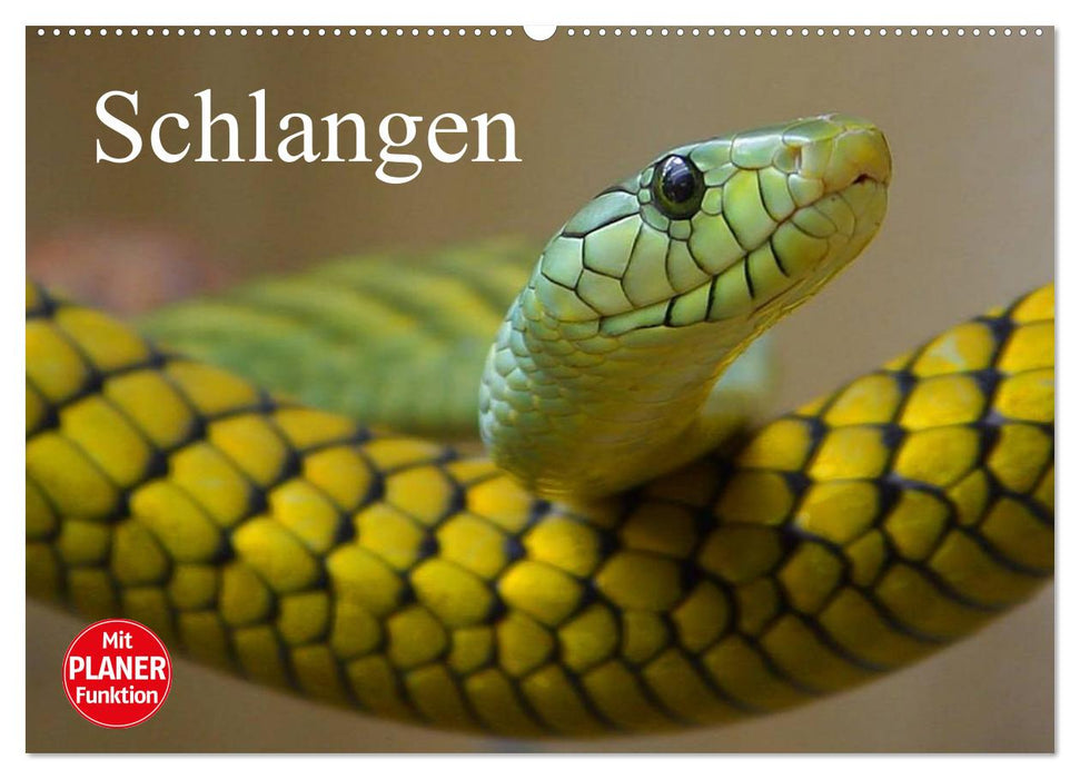 Schlangen (CALVENDO Wandkalender 2027)