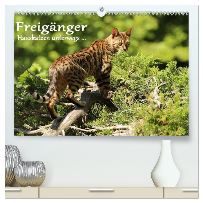 Freigänger - Hauskatzen unterwegs (CALVENDO Premium Wandkalender 2027)