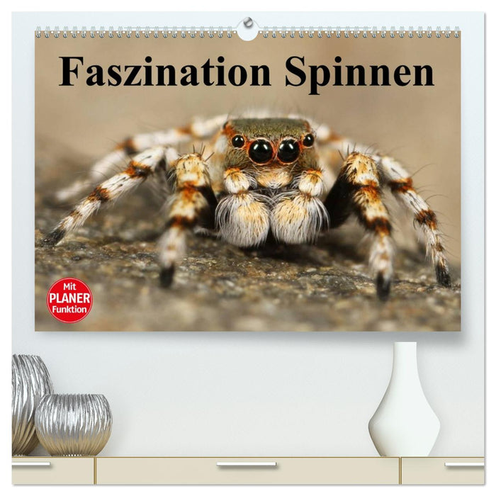 Faszination Spinnen (CALVENDO Premium Wandkalender 2027)