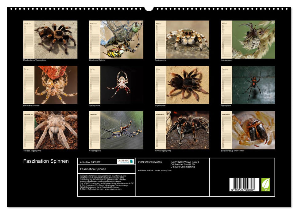 Faszination Spinnen (CALVENDO Premium Wandkalender 2027)