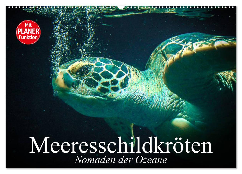 Meeresschildkröten. Nomaden der Ozeane (CALVENDO Wandkalender 2027)