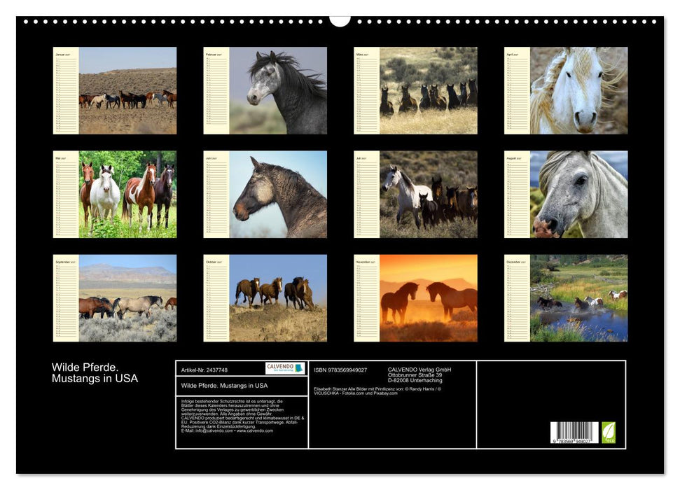 Wilde Pferde. Mustangs in USA (CALVENDO Wandkalender 2027)