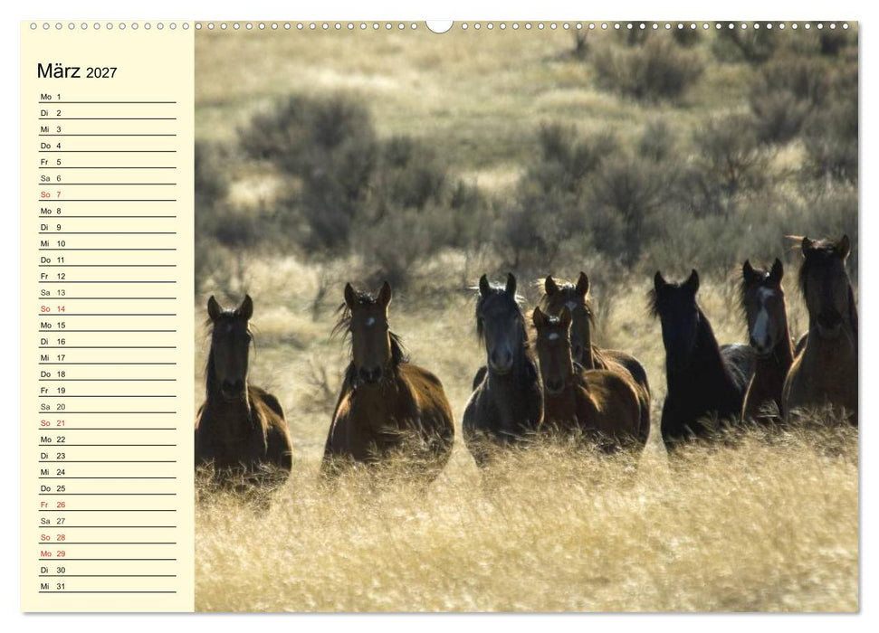 Wilde Pferde. Mustangs in USA (CALVENDO Wandkalender 2027)