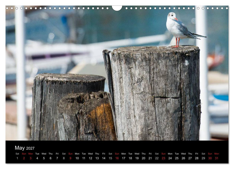 Lake Garda Italy (CALVENDO Monthly Calendar 2027)