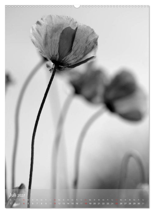 Monochrome Blüten - In Schwarz-Weiß Bildern durch das Jahr (CALVENDO Premium Wandkalender 2027)