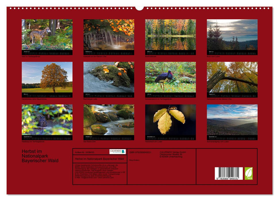 Herbst im Nationalpark Bayerischer Wald (CALVENDO Premium Wandkalender 2027)