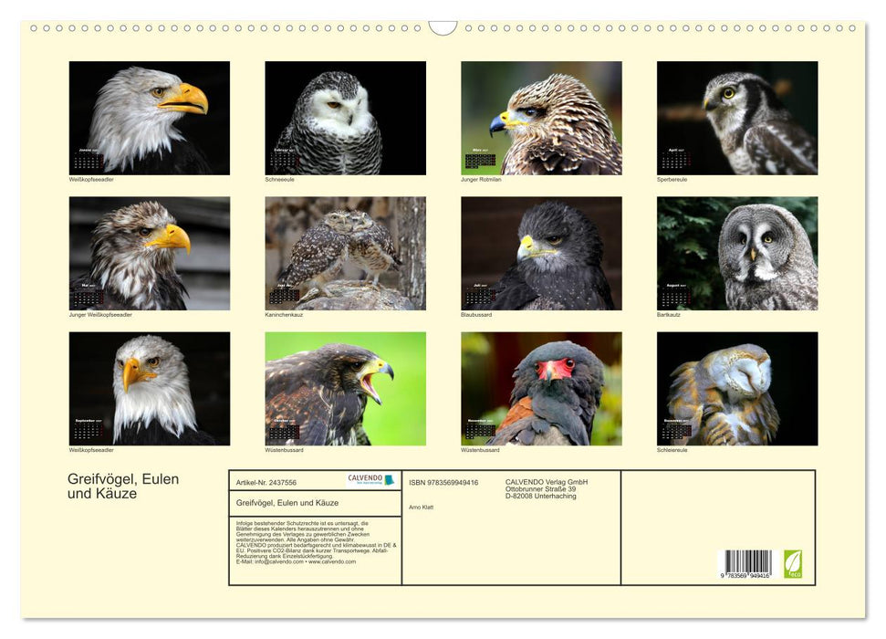 Greifvögel, Eulen und Käuze (CALVENDO Wandkalender 2027)