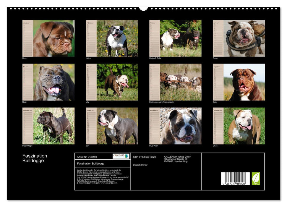 Faszination Bulldogge (CALVENDO Premium Wandkalender 2027)