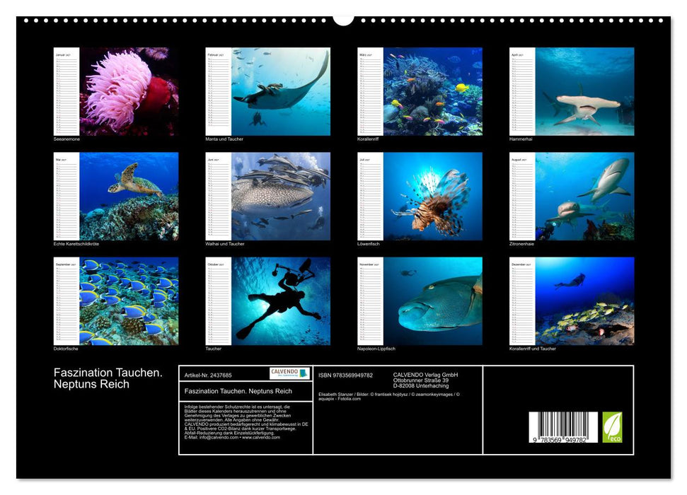 Faszination Tauchen. Neptuns Reich (CALVENDO Premium Wandkalender 2027)