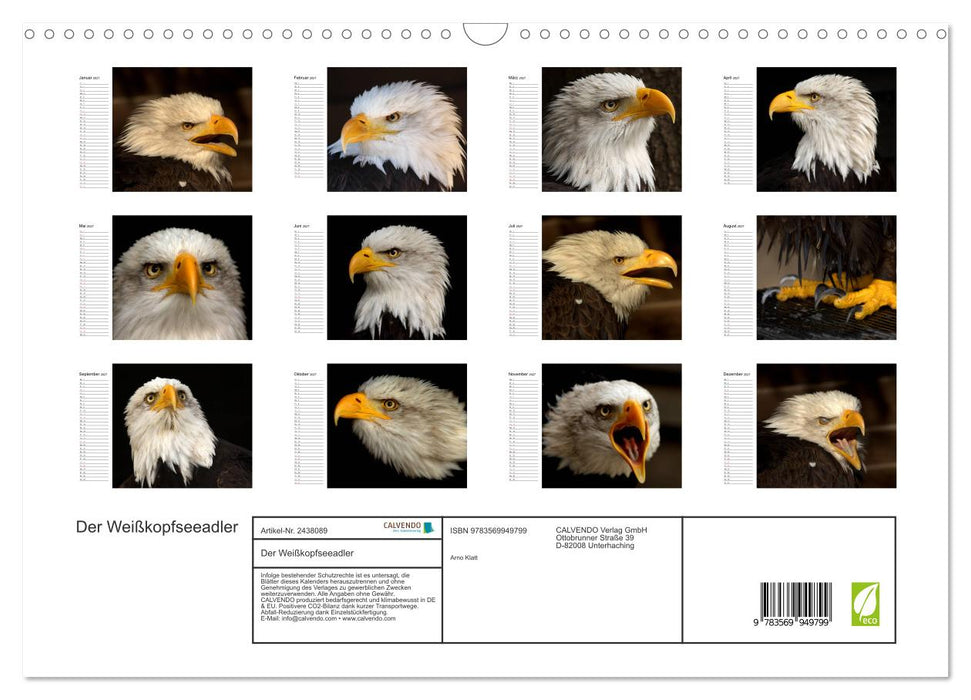 Der Weißkopfseeadler (CALVENDO Wandkalender 2027)