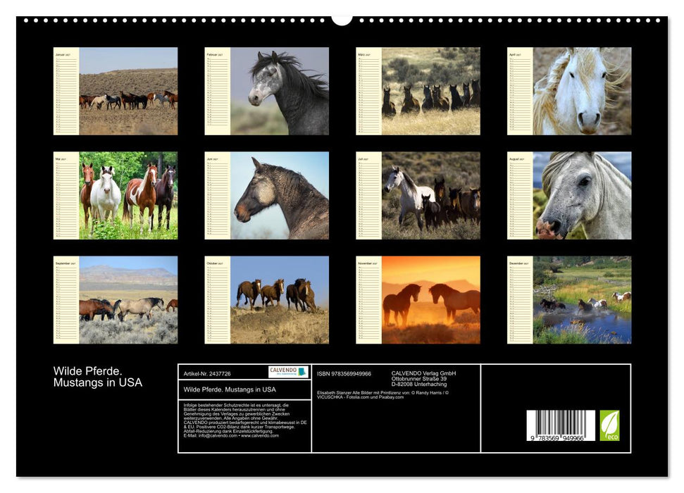 Wilde Pferde. Mustangs in USA (CALVENDO Premium Wandkalender 2027)