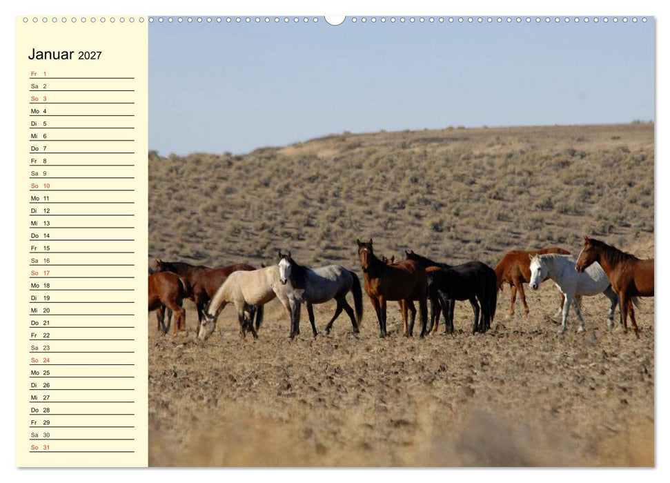 Wilde Pferde. Mustangs in USA (CALVENDO Premium Wandkalender 2027)