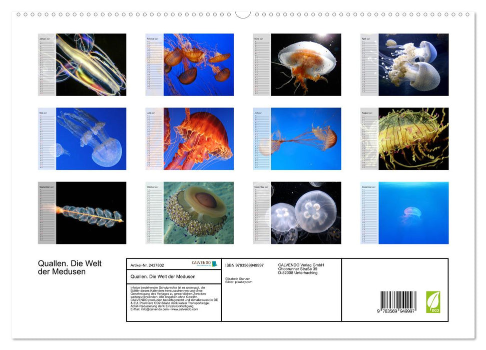 Quallen. Die Welt der Medusen (CALVENDO Premium Wandkalender 2027)