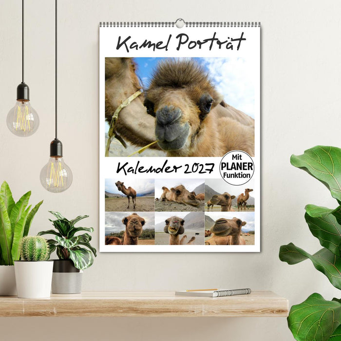 Kamel Porträt (CALVENDO Wandkalender 2027)