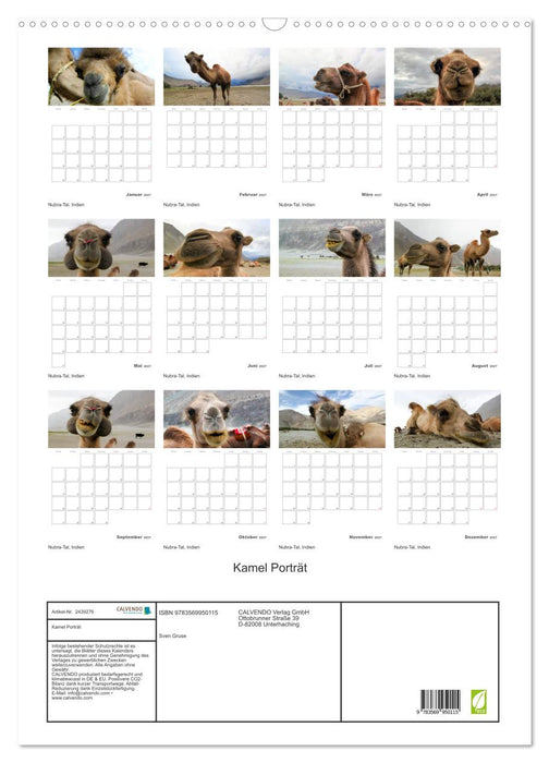 Kamel Porträt (CALVENDO Wandkalender 2027)