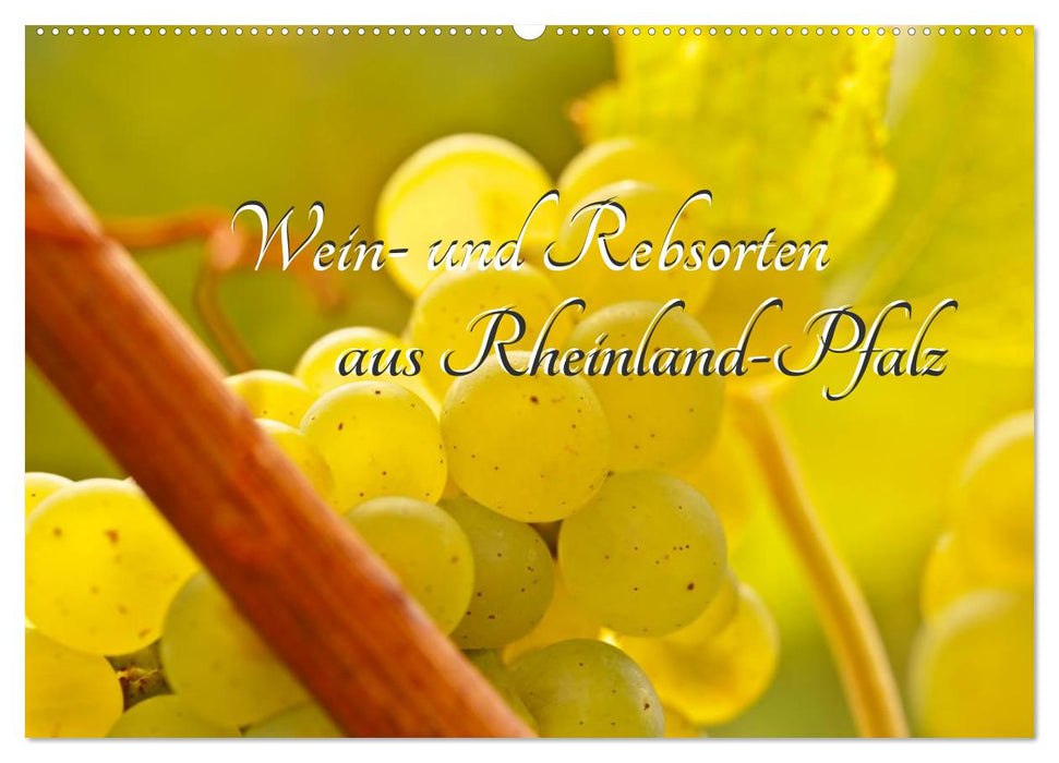 Wein- und Rebsorten aus Rheinland-Pfalz (CALVENDO Wandkalender 2027)