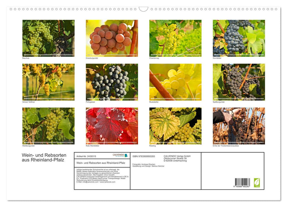 Wein- und Rebsorten aus Rheinland-Pfalz (CALVENDO Wandkalender 2027)