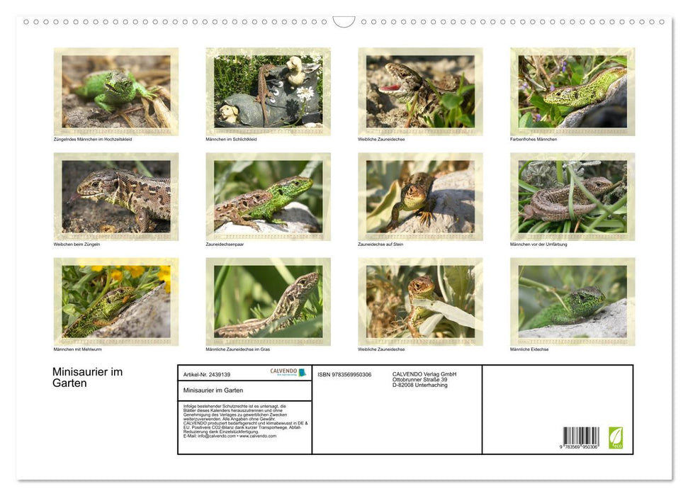 Minisaurier im Garten (CALVENDO Wandkalender 2027)
