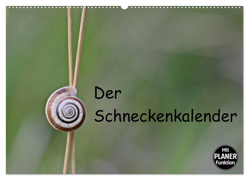 Der Schneckenkalender (CALVENDO Wandkalender 2027)