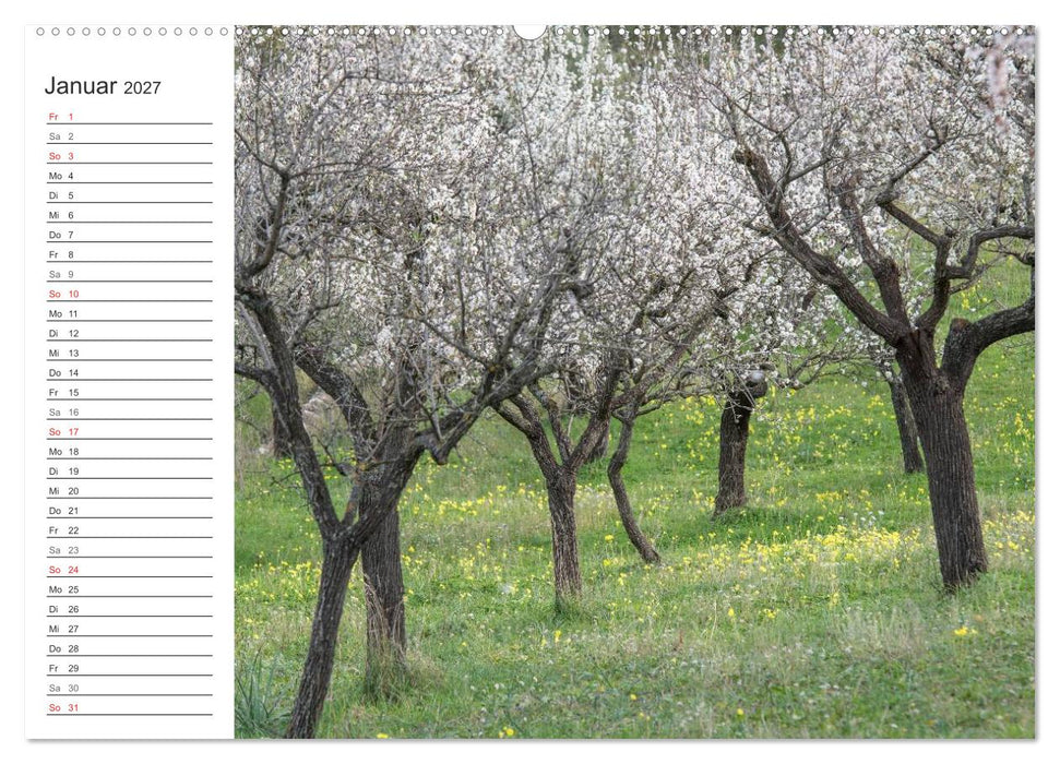 Emotionale Momente: Mandeln (CALVENDO Wandkalender 2027)